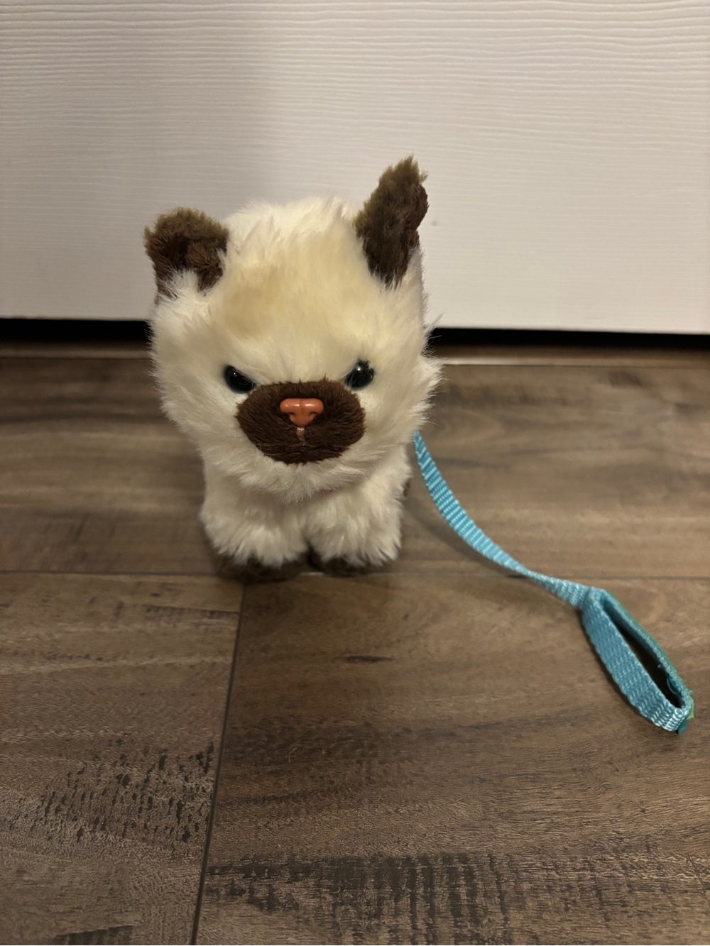 American Girl Doll Pet Himalayan Cat with Leash